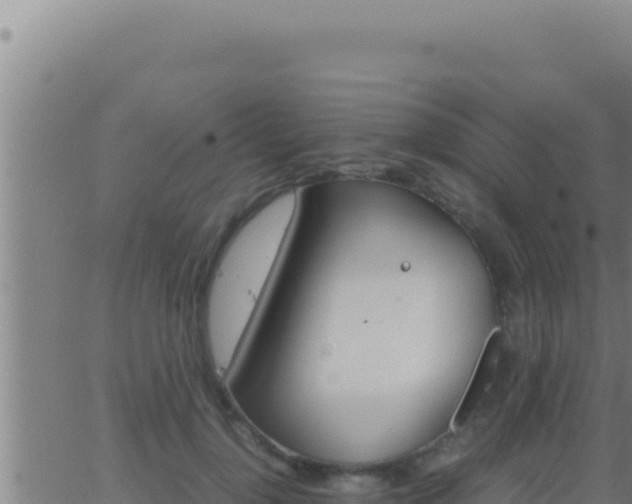 X0000062920748200601202001