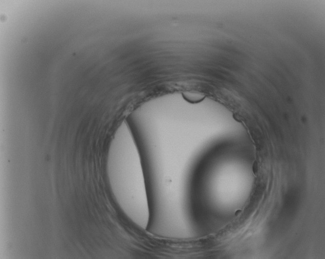 X0000062920749200601202001