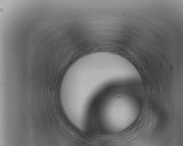 X0000062920750200601202001