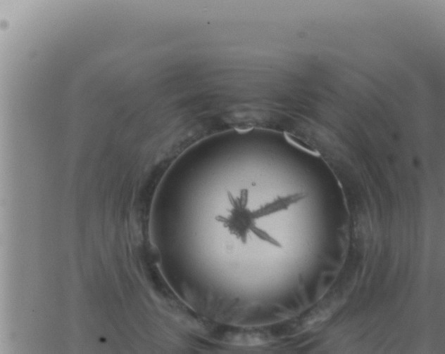 X0000062920751200601202001