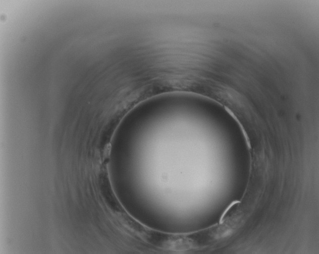 X0000062920752200601202001