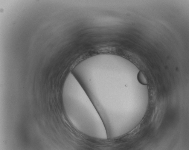 X0000062920753200601202001