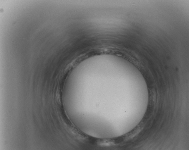 X0000062920754200601202001