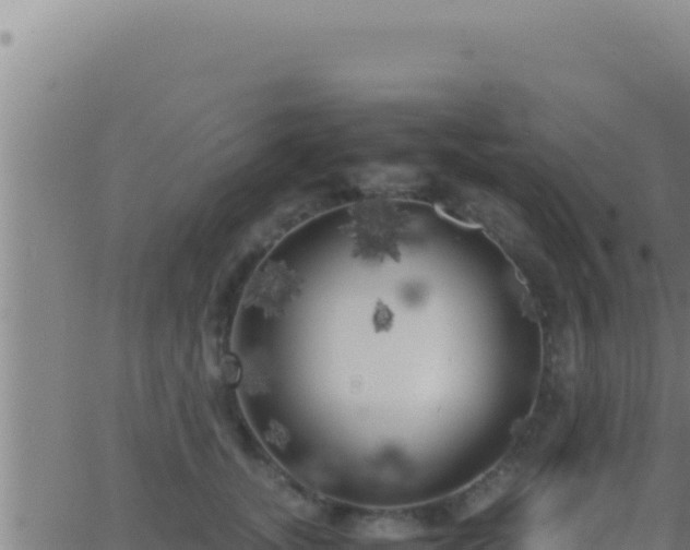 X0000062920755200601202001