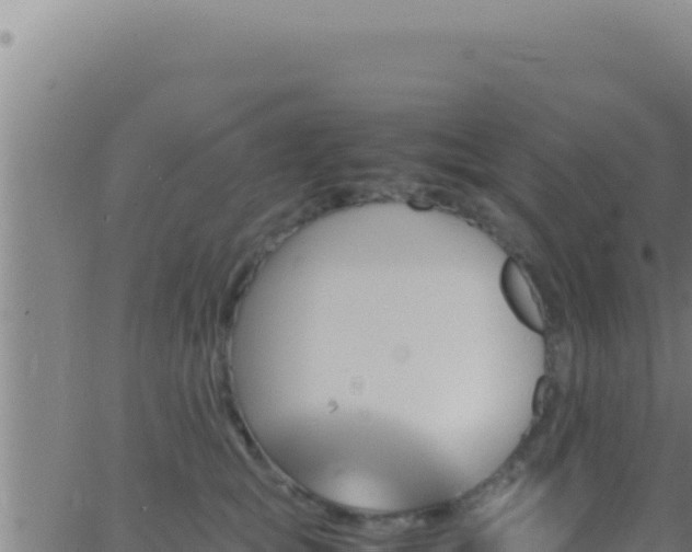 X0000062920757200601202001