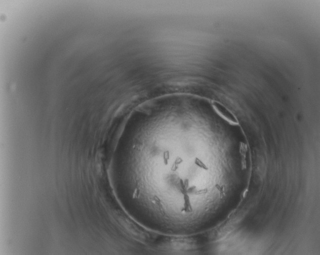 X0000062920758200601202001