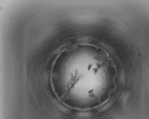 X0000062920759200601202001