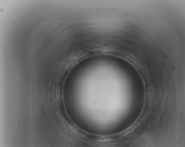 X0000062920760200601202001