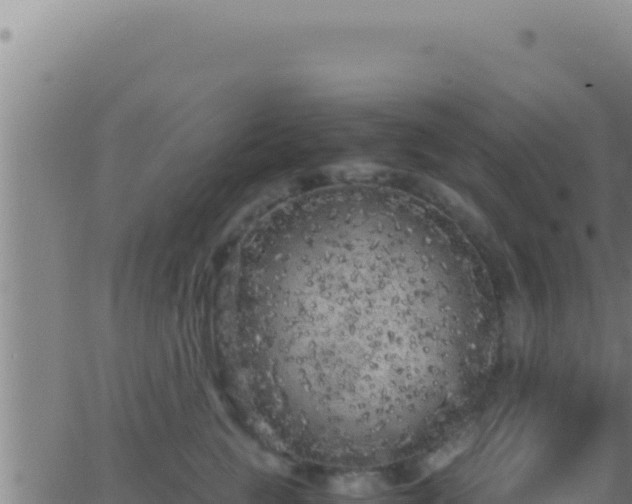 X0000062920761200601202001