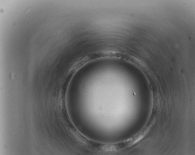 X0000062920762200601202001