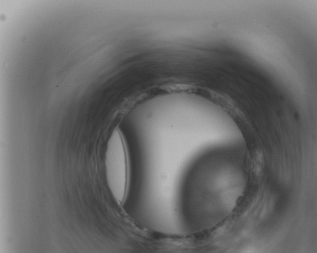 X0000062920763200601202001