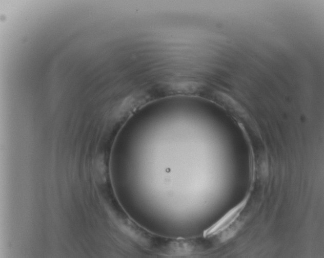 X0000062920764200601202001