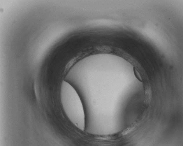 X0000062920765200601202001