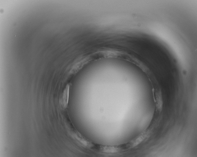 X0000062920766200601202001