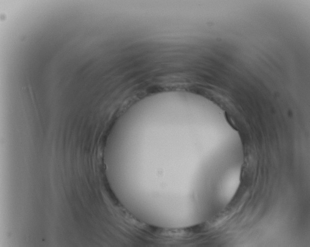 X0000062920767200601202001