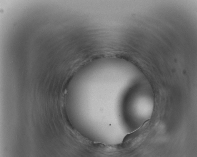 X0000062920768200601202001