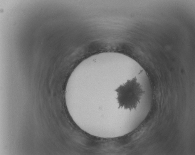 X0000062920769200601202001