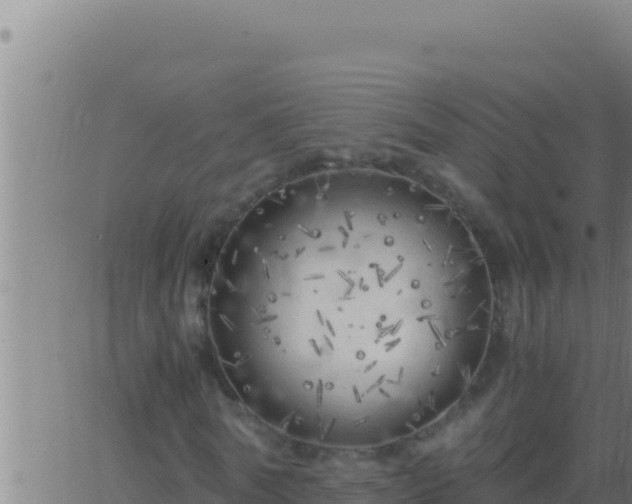 X0000062920770200601202001