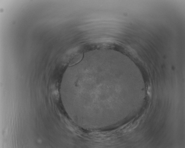 X0000062920771200601202001