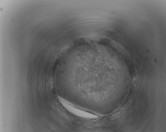 X0000062920772200601202001