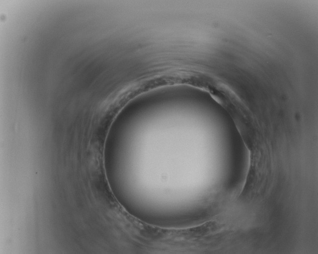 X0000062920773200601202001