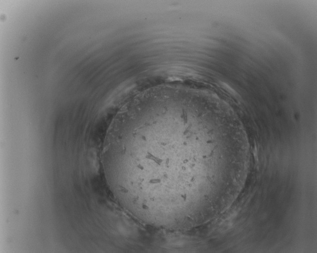 X0000062920774200601202000