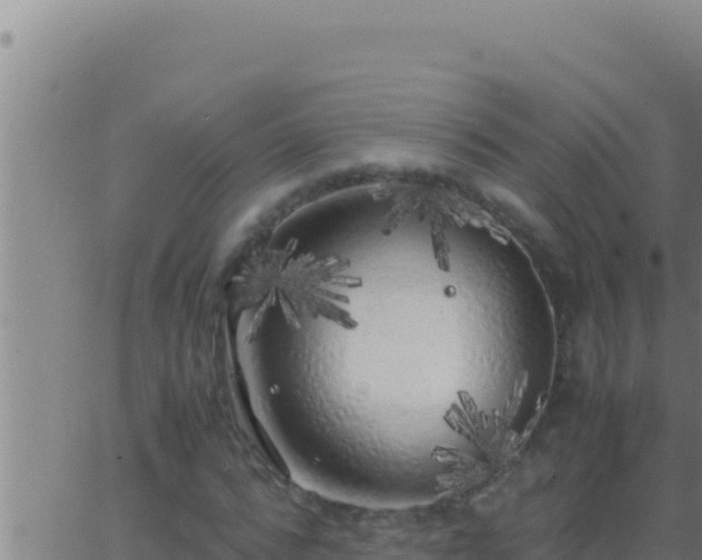 X0000062920776200601202000