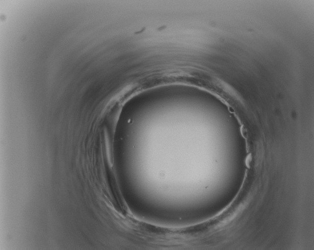 X0000062920777200601202000