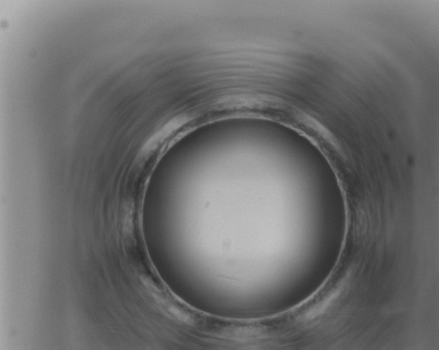 X0000062920778200601202000