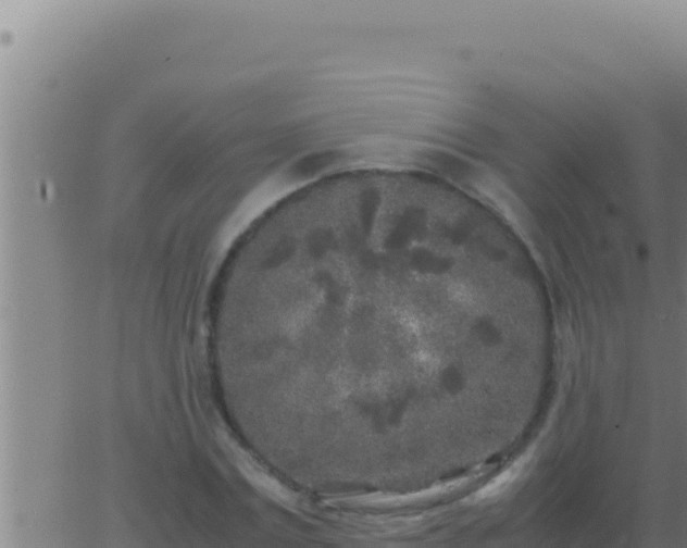 X0000062920779200601202000