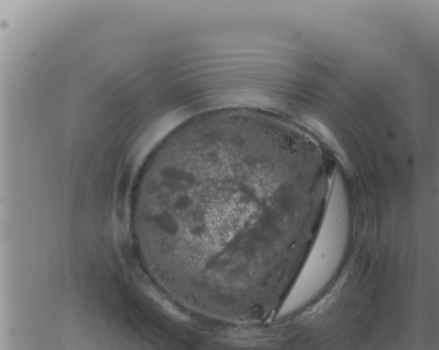 X0000062920780200601202000