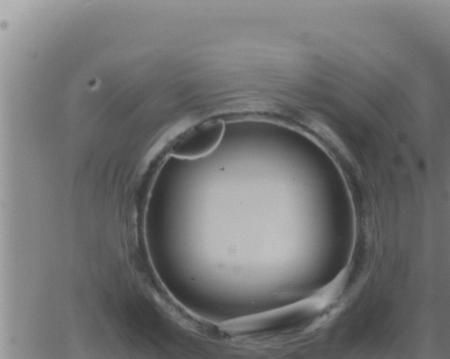 X0000062920781200601202000