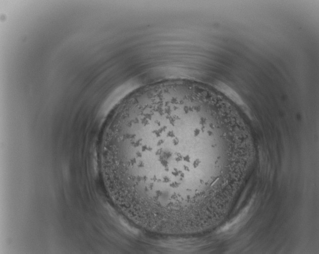 X0000062920782200601202000