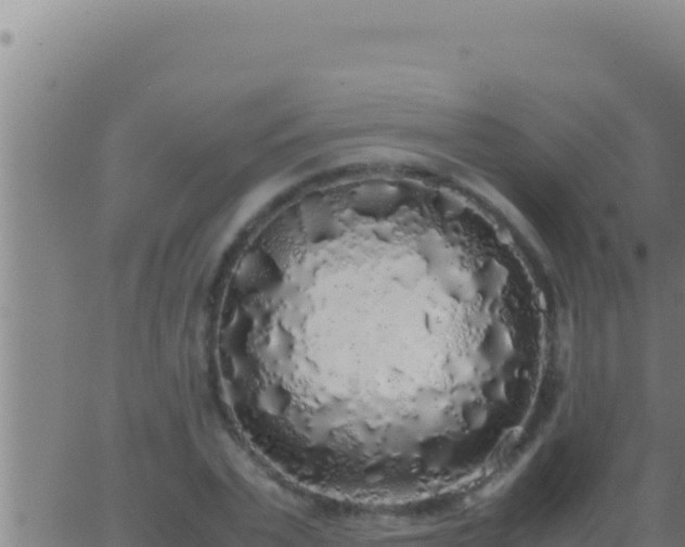 X0000062920783200601202000