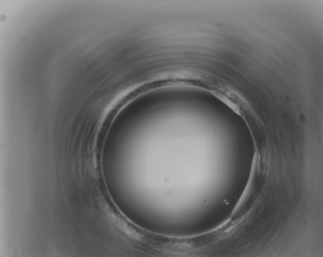 X0000062920784200601202000