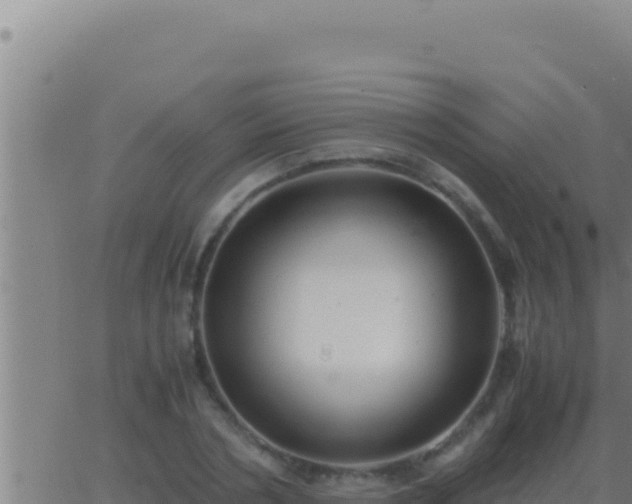 X0000062920786200601202000