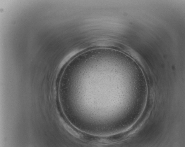 X0000062920787200601202000