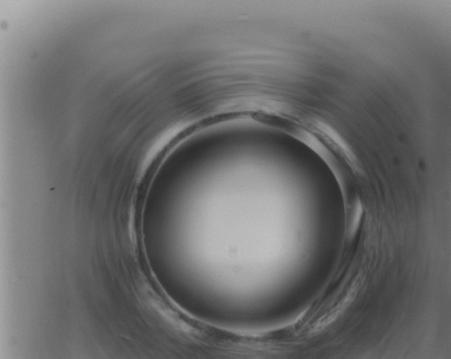 X0000062920788200601202000