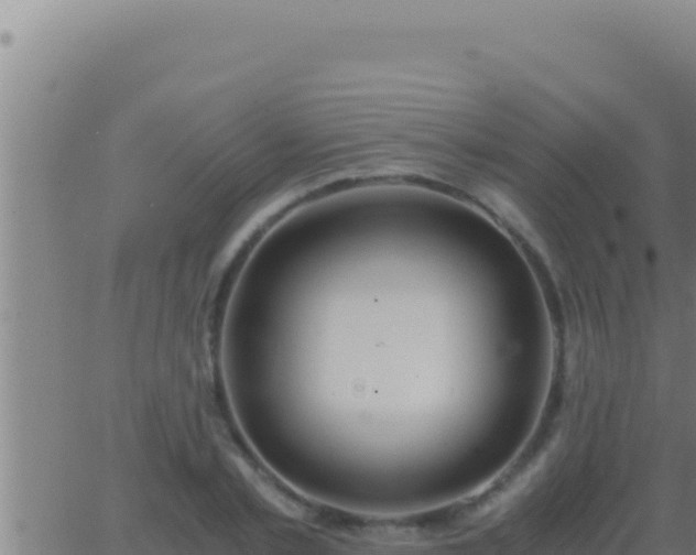 X0000062920789200601202000