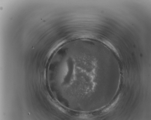 X0000062920790200601202000