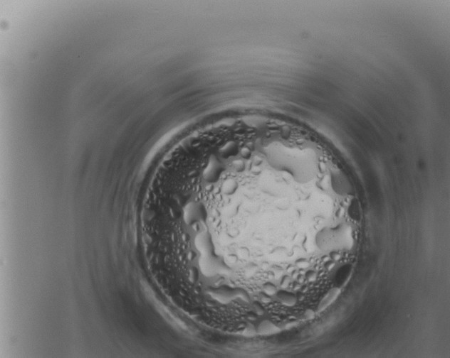 X0000062920791200601202000