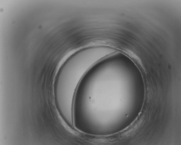 X0000062920792200601202000