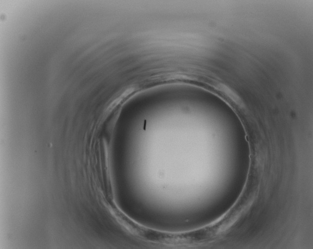 X0000062920793200601202000