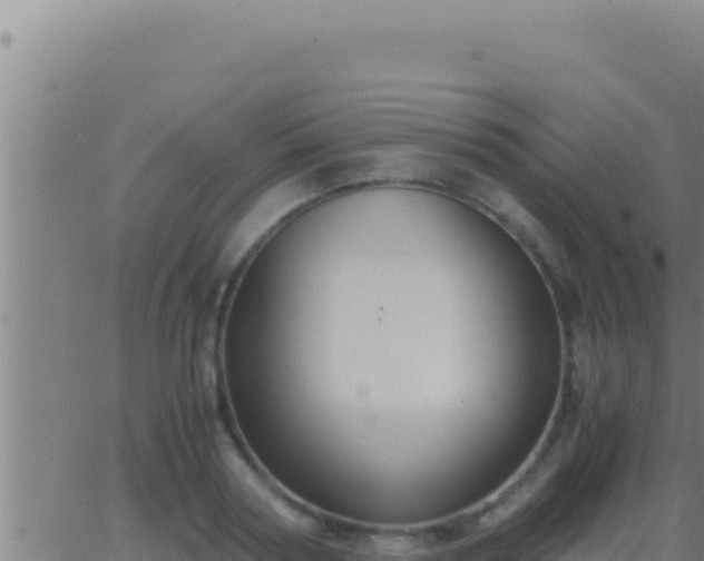 X0000062920794200601202000