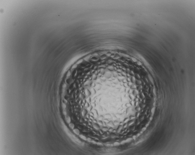 X0000062920795200601202000