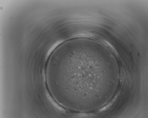 X0000062920796200601202000