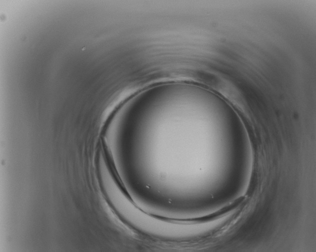 X0000062920797200601202000