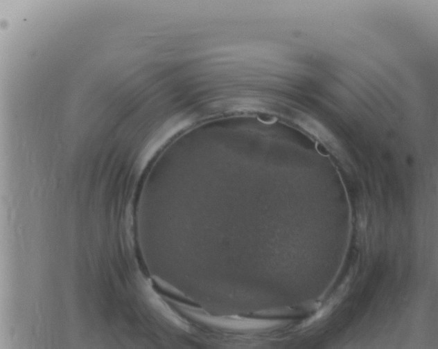 X0000062920798200601202000