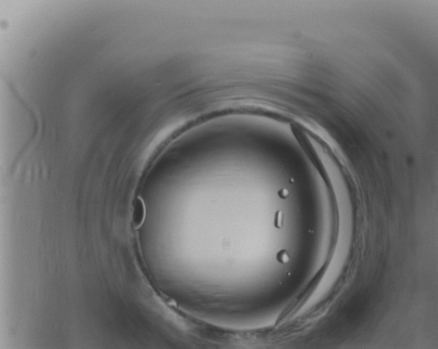 X0000062920799200601202000