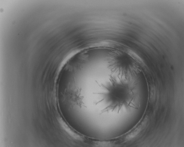 X0000062920800200601202000